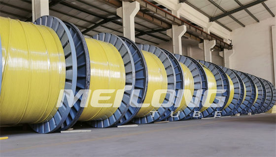 UNS S32750 สายควบคุมแบบห่อหุ้ม Super Duplex 2507 Rilsan Nylon