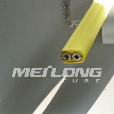 TP316L PVDF สายควบคุมแบบห่อหุ้ม Flatpack พร้อมท่อแรงดันสูงสองท่อ